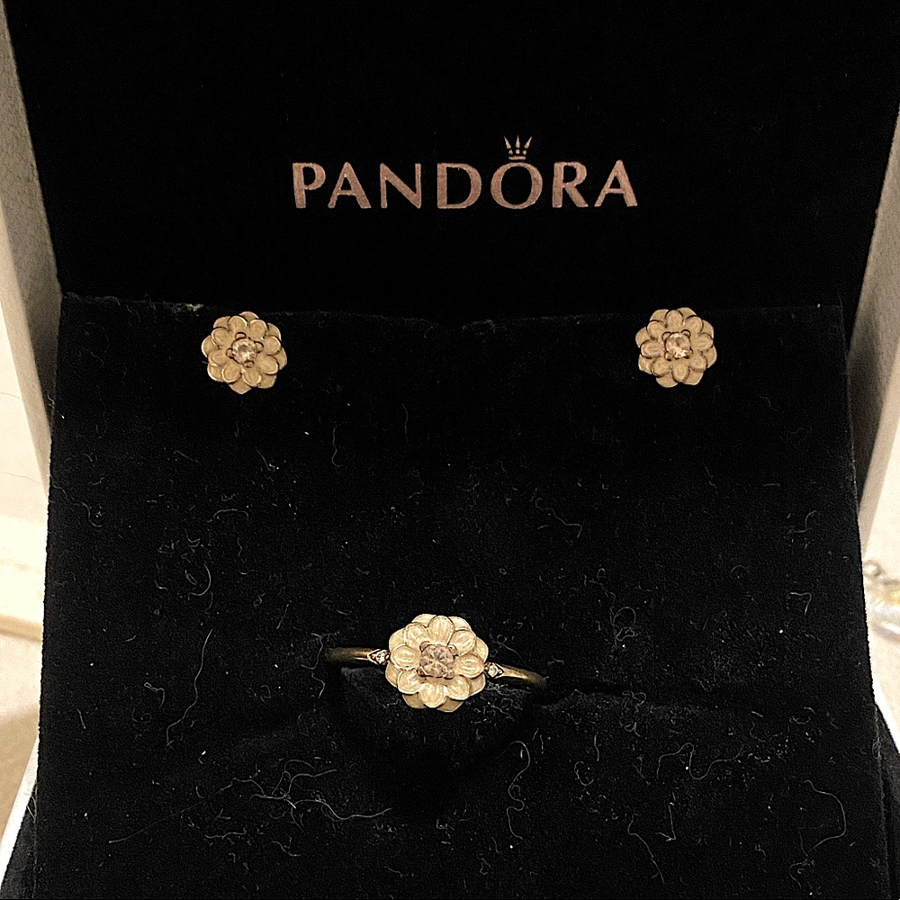 Pandora’s retired Blooming Dahlia set